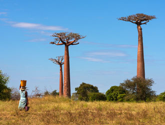 madagascar ouest sud