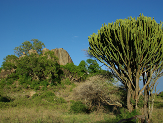 Afrique Austale 4