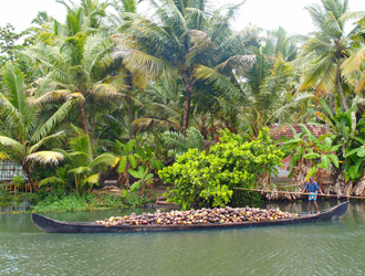 inde kerala tamil nadu