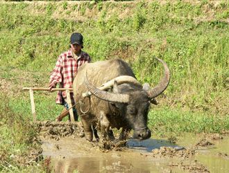 laos cambodge 2